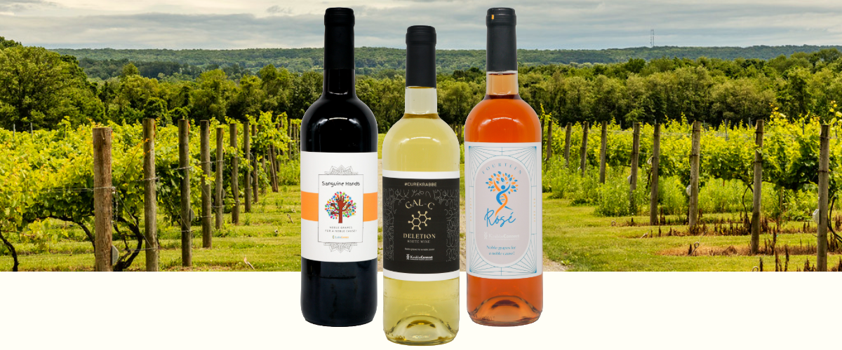 KrabbeConnect Wine Collection Fundraiser